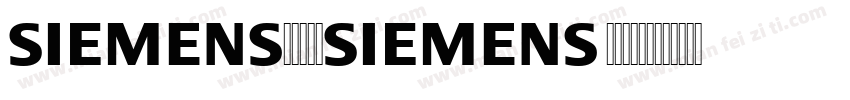 siemens italic字体转换
